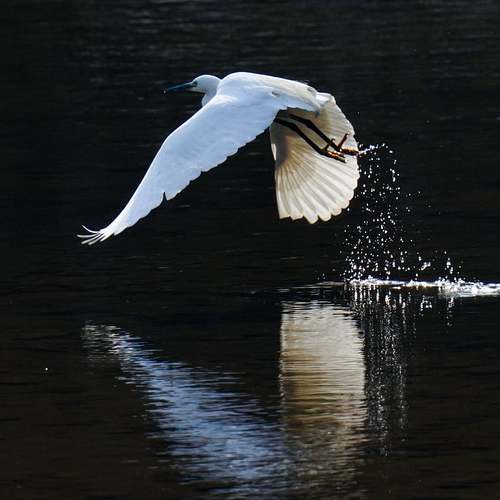 환경보건이용권 신청 절차와 혜택을 손쉽게 알아보세요!