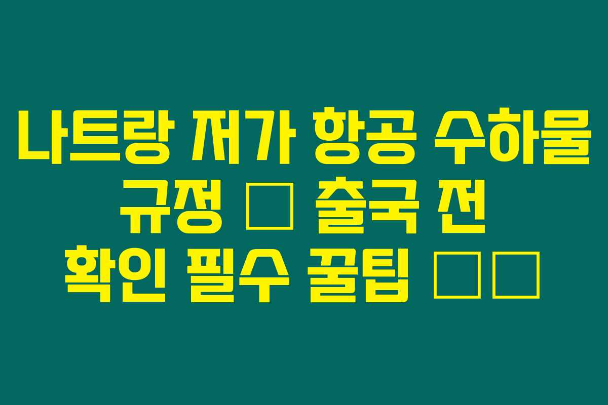 나트랑 저가 항공 수하물 규정 – 출국 전 확인 필수 꿀팁 ✈️