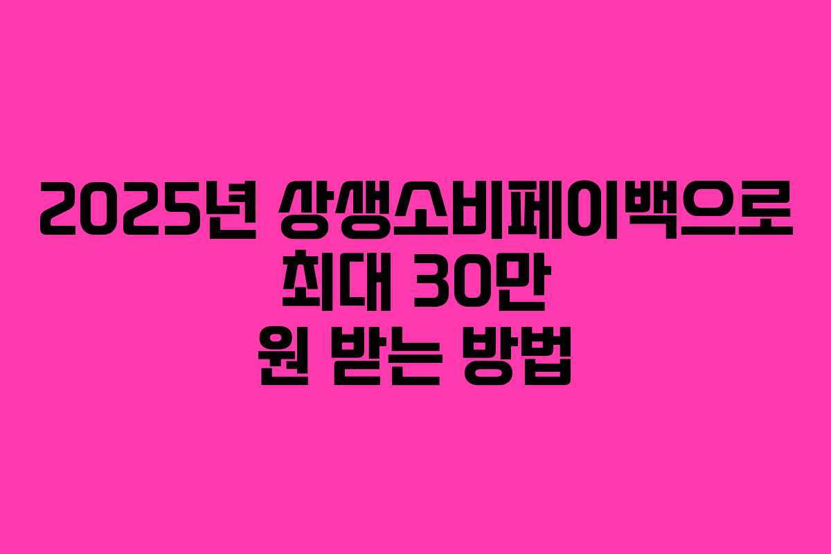 2025년 상생소비페이백으로 최대 30만 원 받는 방법