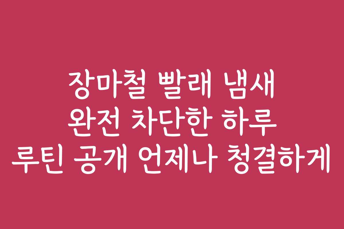장마철 빨래 냄새 완전 차단한 하루 루틴 공개 언제나 청결하게