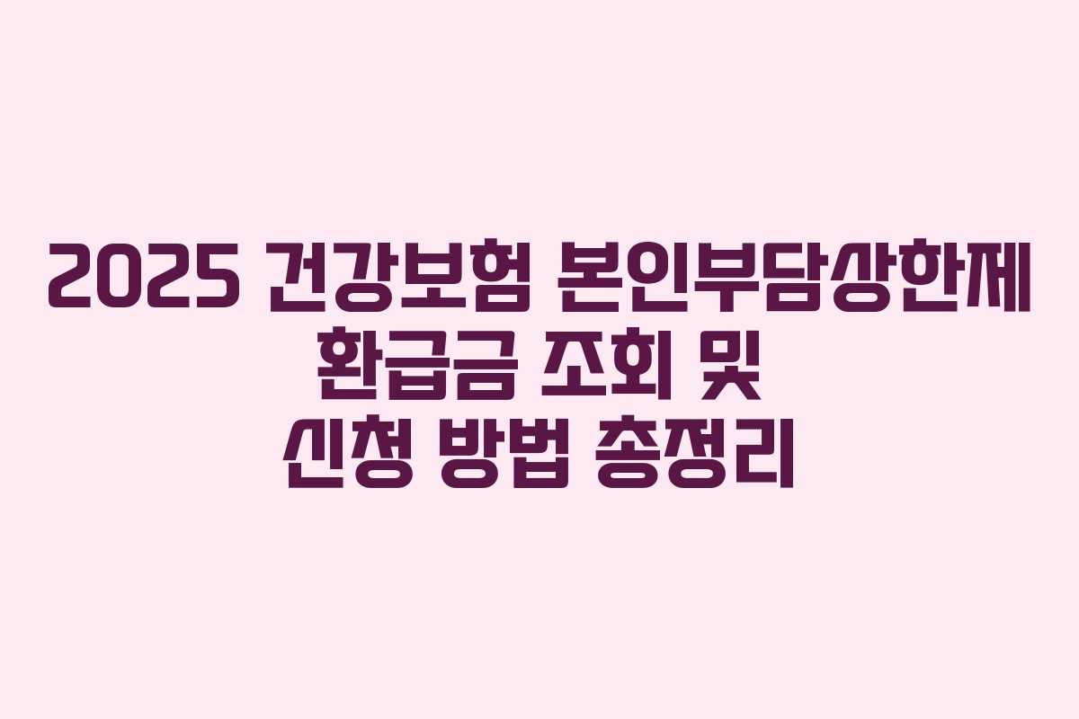 2025 건강보험 본인부담상한제 환급금 조회 및 신청 방법 총정리