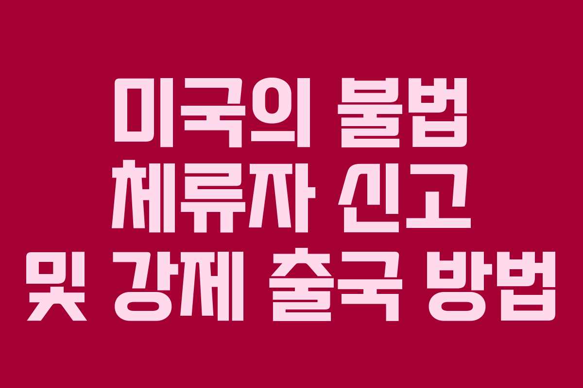 미국의 불법 체류자 신고 및 강제 출국 방법
