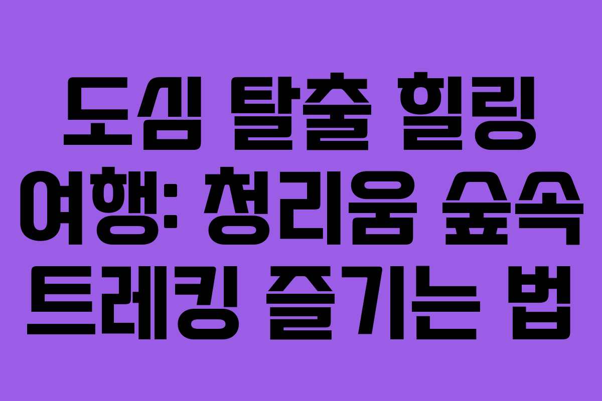 도심 탈출 힐링 여행: 청리움 숲속 트레킹 즐기는 법