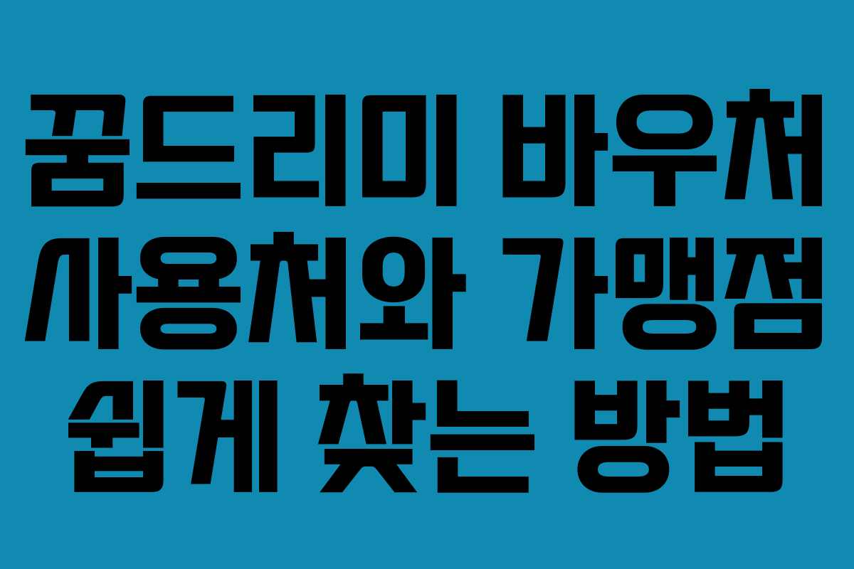 꿈드리미 바우처 사용처와 가맹점 쉽게 찾는 방법 꿈드리미 바우처 사용처와 가맹점 쉽게 찾는 방법