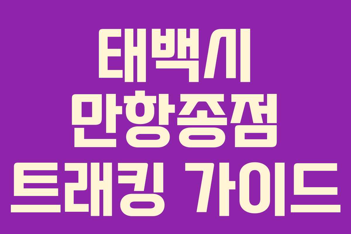 태백시 만항종점 트래킹 가이드