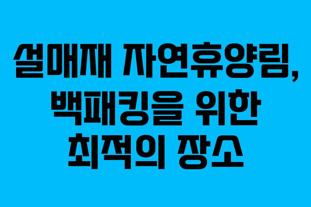 설매재 자연휴양림, 백패킹을 위한 최적의 장소