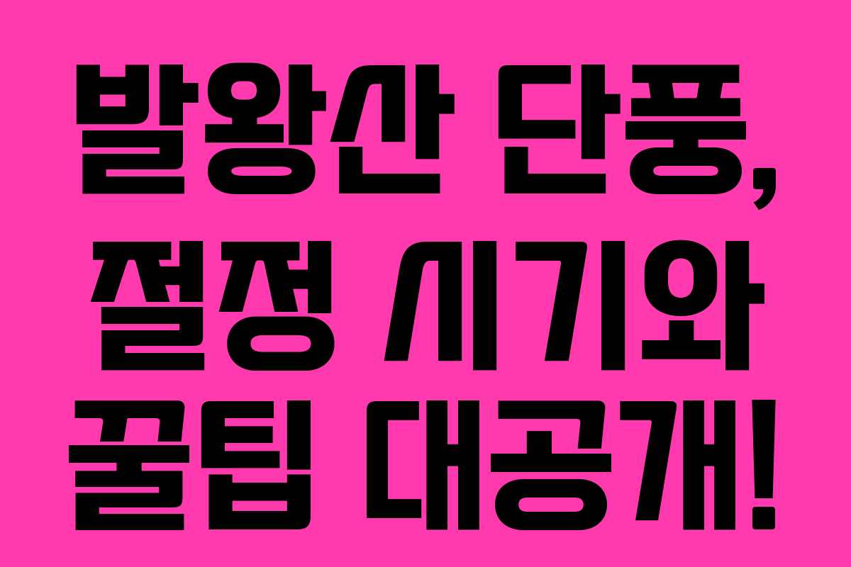 발왕산 단풍, 절정 시기와 꿀팁 대공개!