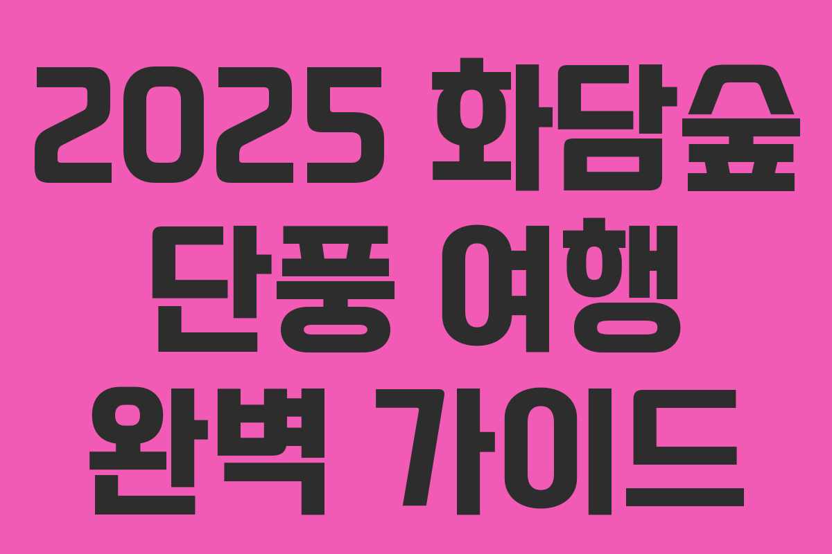 2025 화담숲 단풍 여행 완벽 가이드