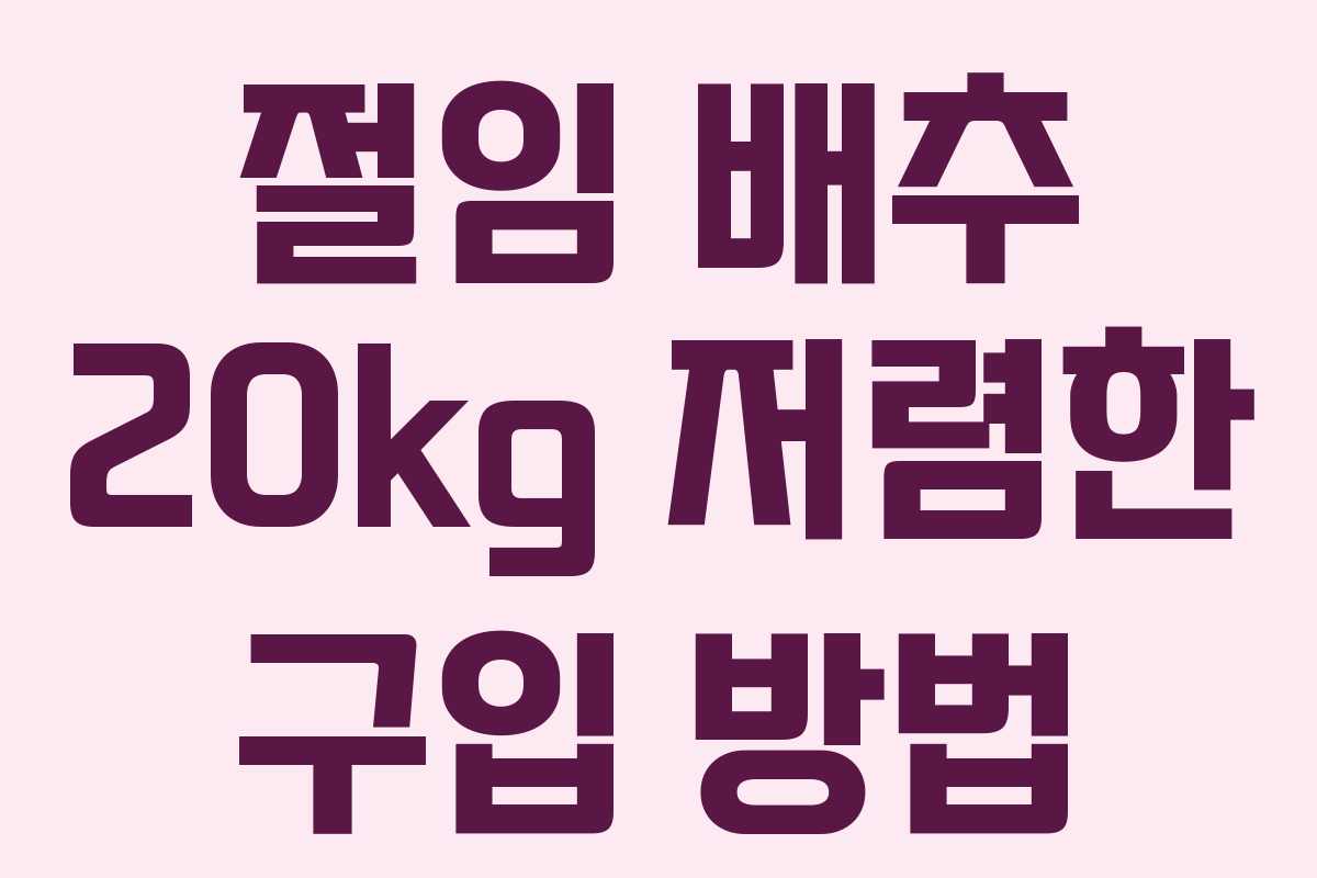 절임 배추 20kg 저렴한 구입 방법