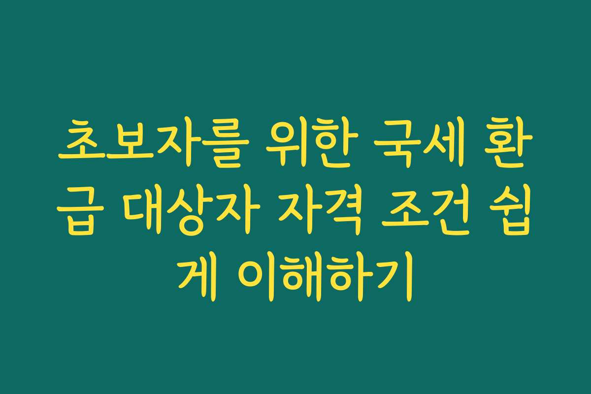 초보자를 위한 국세 환급 대상자 자격 조건 쉽게 이해하기 초보자를 위한 국세 환급 대상자 자격 조건 쉽게 이해하기