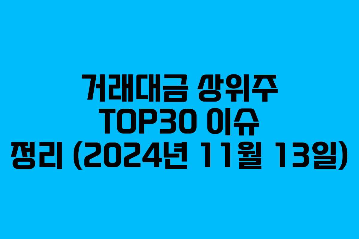 거래대금 상위주 TOP30 이슈 정리 (2024년 11월 13일) 거래대금 상위주 TOP30 이슈 정리 (2024년 11월 13일)