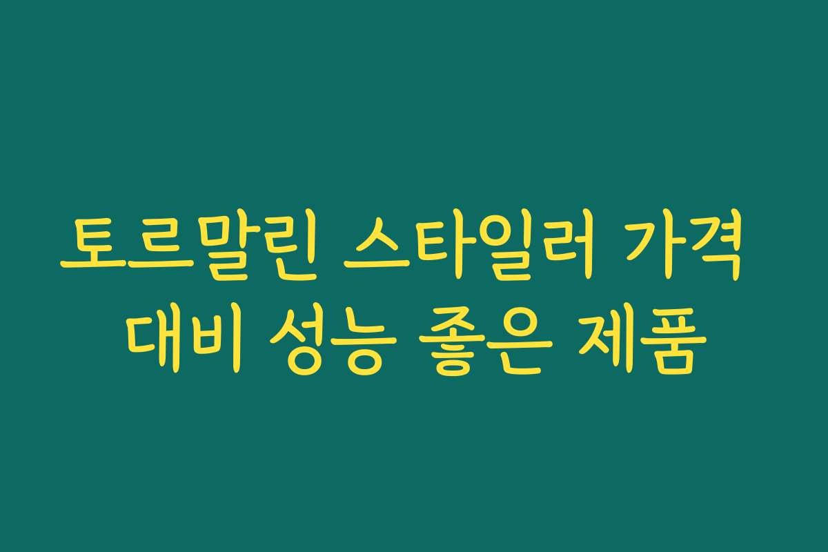토르말린 스타일러 가격 대비 성능 좋은 제품