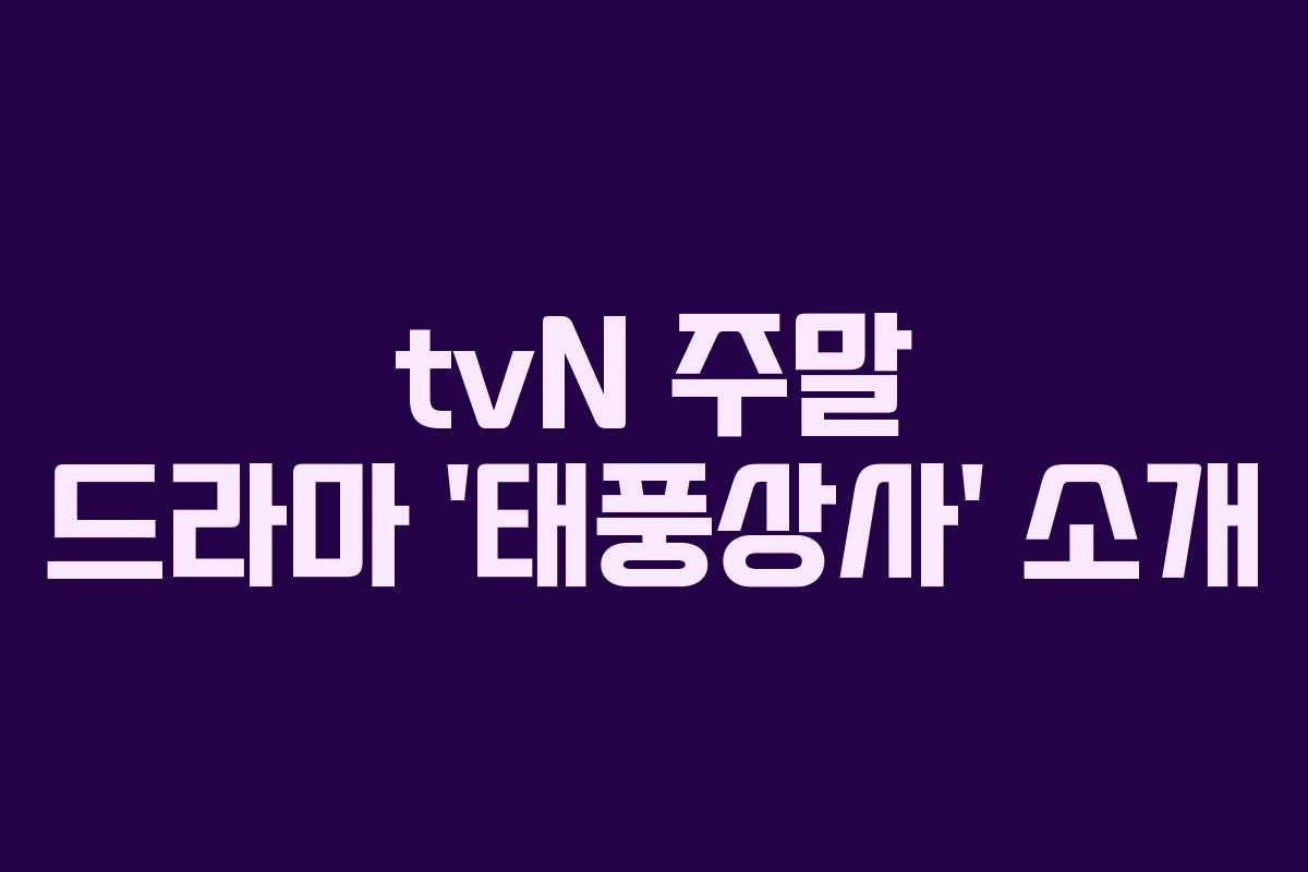 tvN 주말 드라마 ‘태풍상사’ 소개