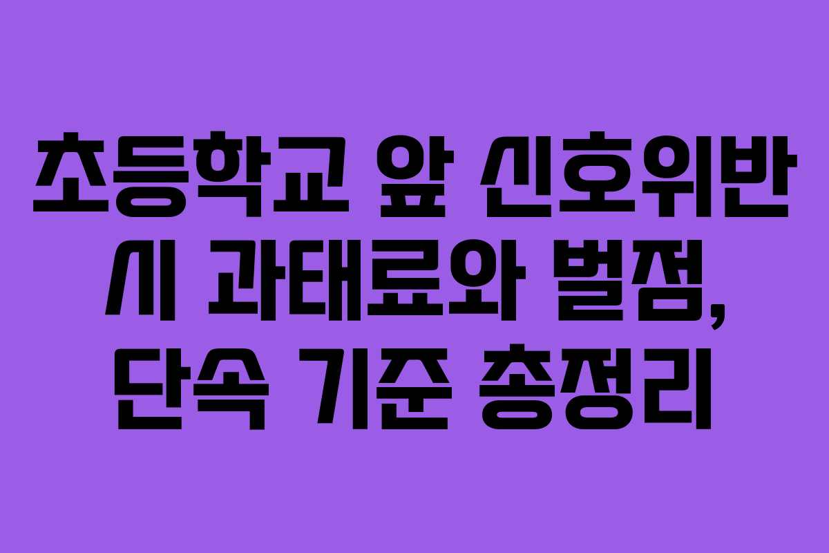 초등학교 앞 신호위반 시 과태료와 벌점, 단속 기준 총정리