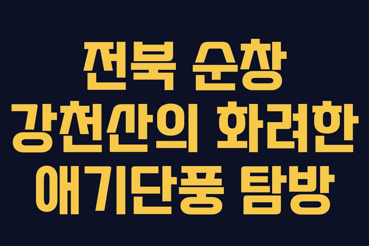 전북 순창 강천산의 화려한 애기단풍 탐방