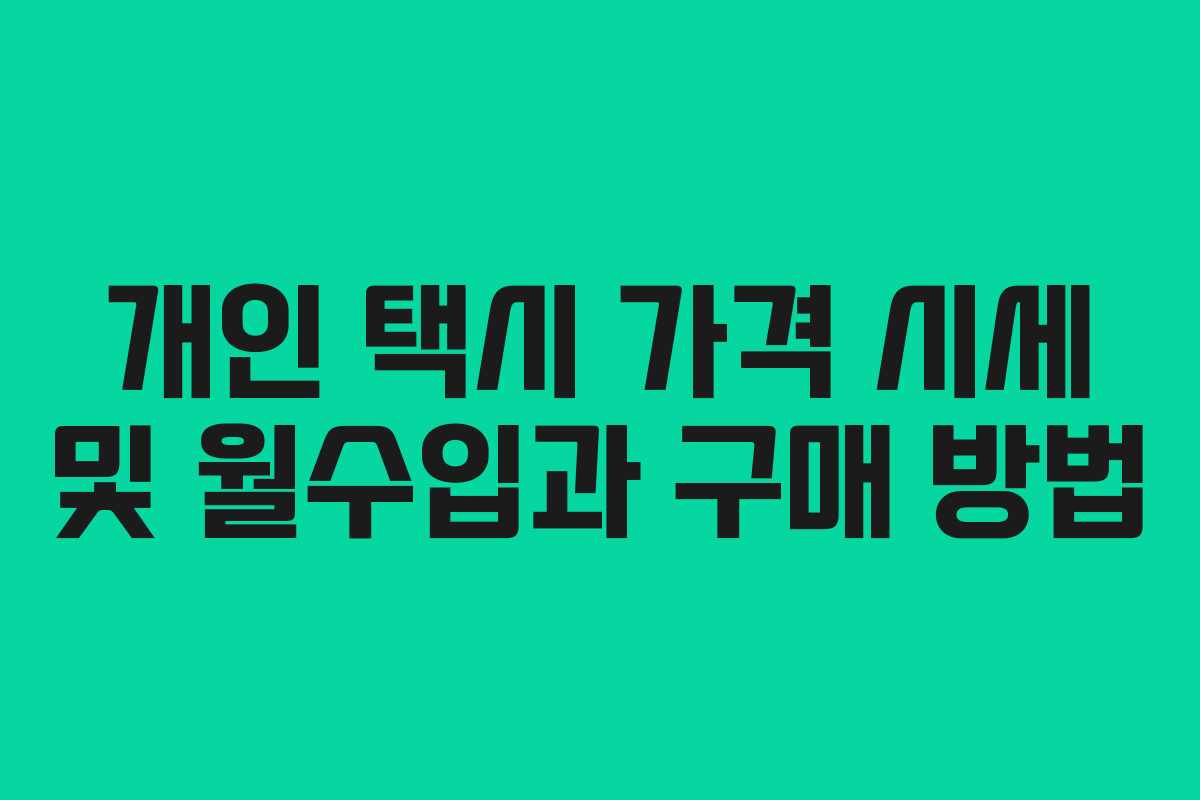 개인 택시 가격 시세 및 월수입과 구매 방법