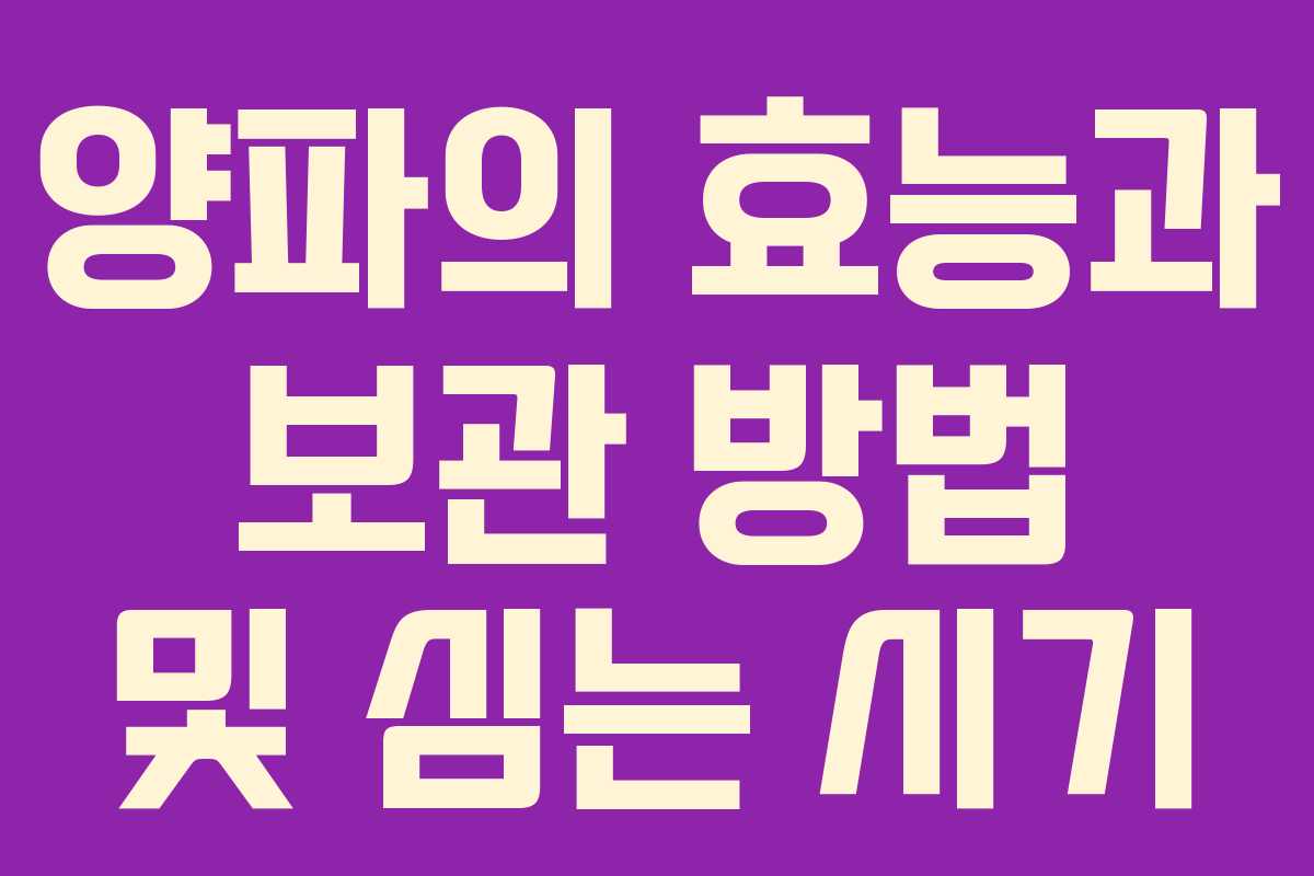 양파의 효능과 보관 방법 및 심는 시기