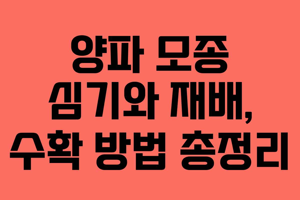 양파 모종 심기와 재배, 수확 방법 총정리