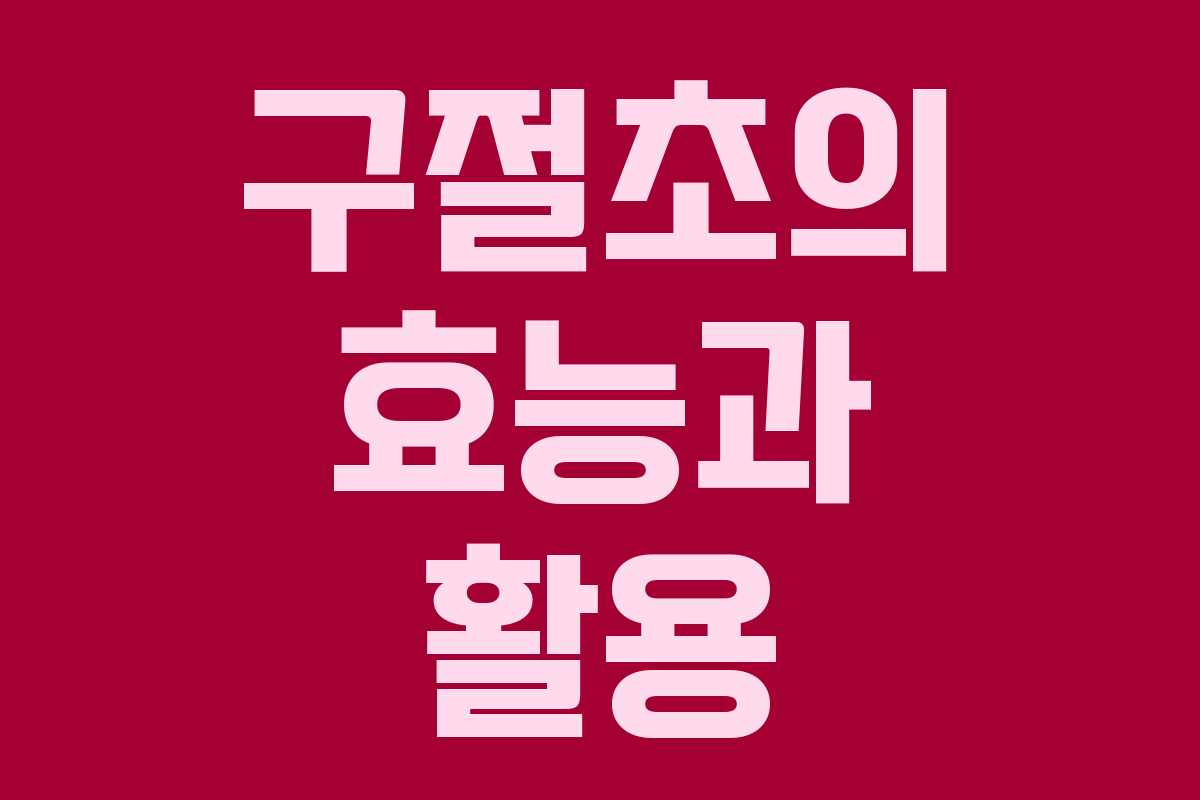 구절초의 효능과 활용