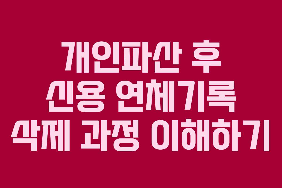 개인파산 후 신용 연체기록 삭제 과정 이해하기