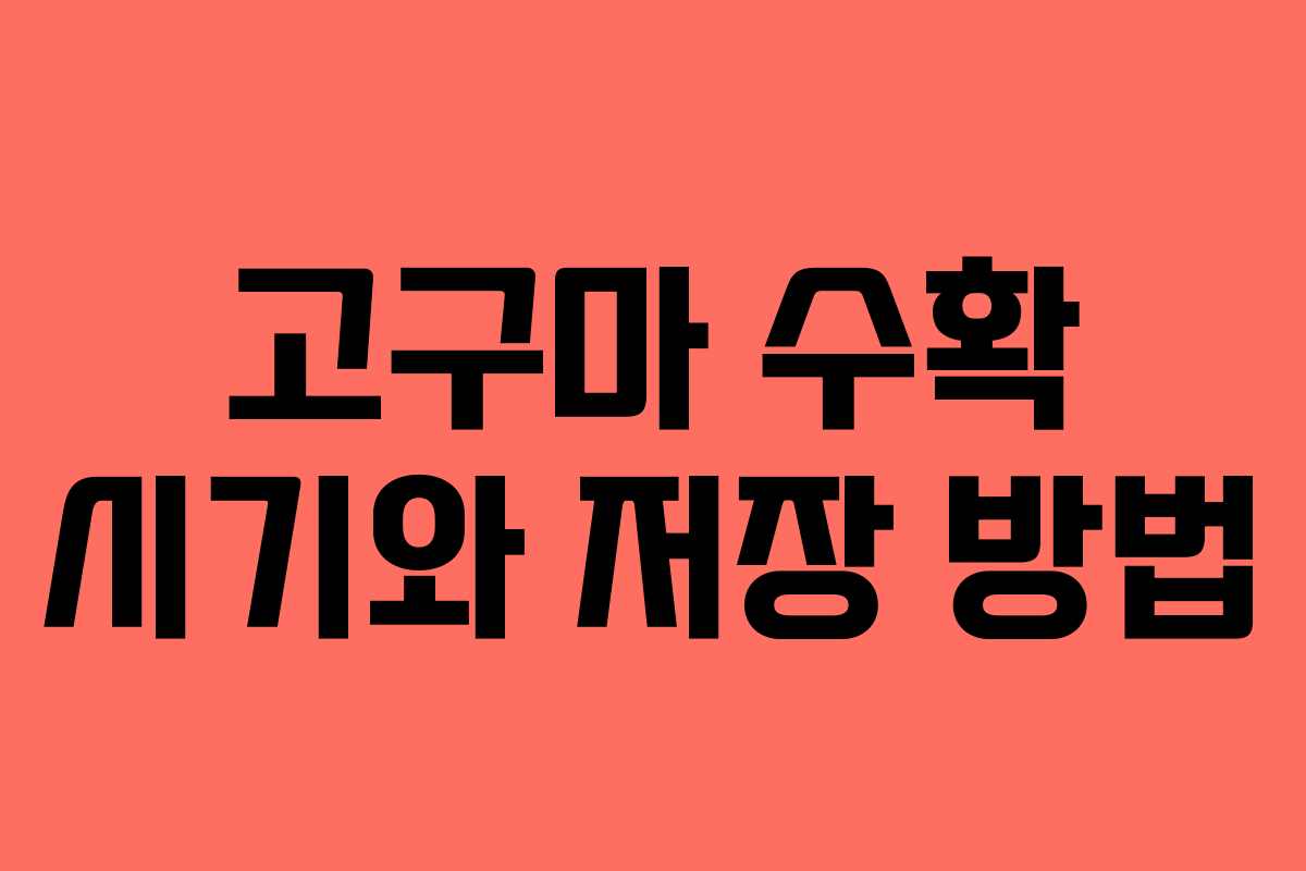 고구마 수확 시기와 저장 방법