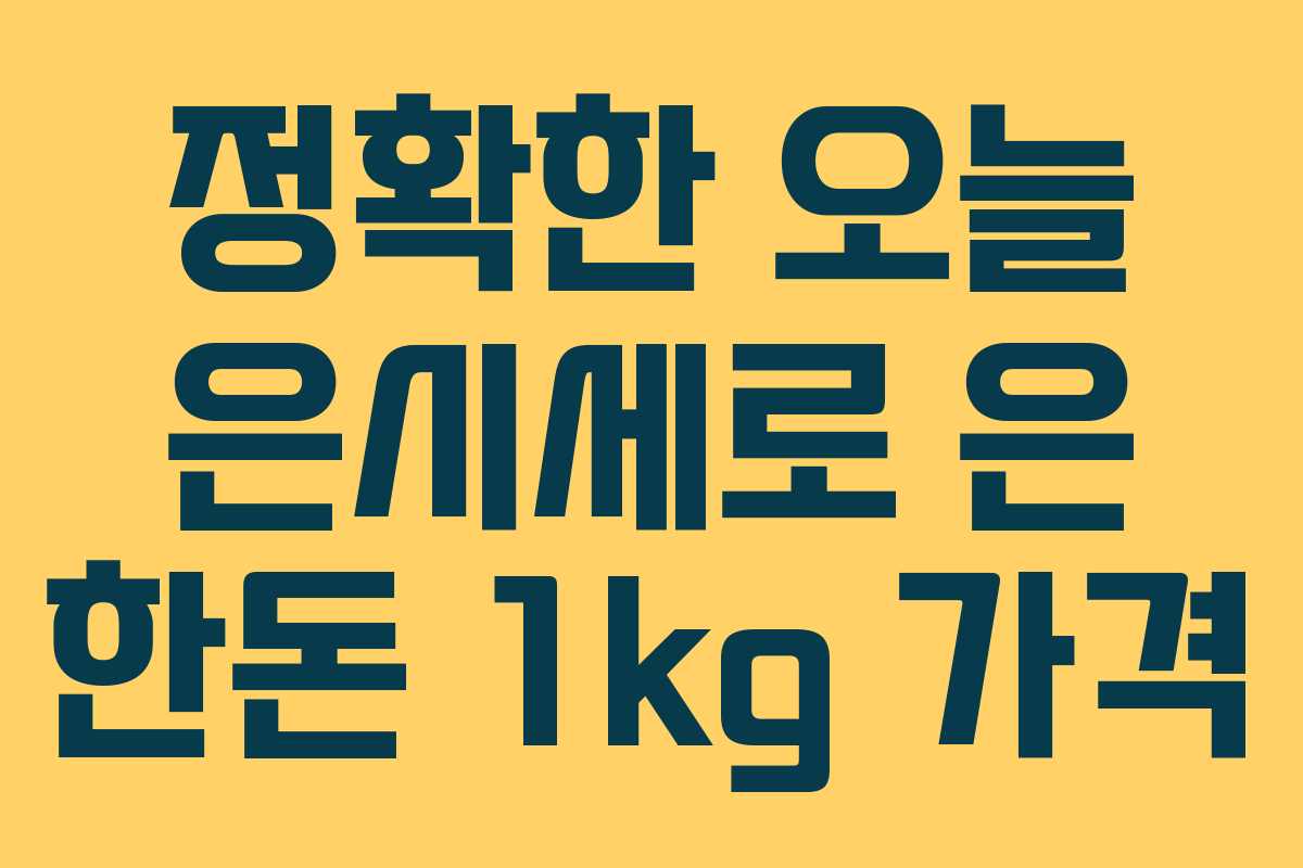 정확한 오늘 은시세로 은 한돈 1kg 가격