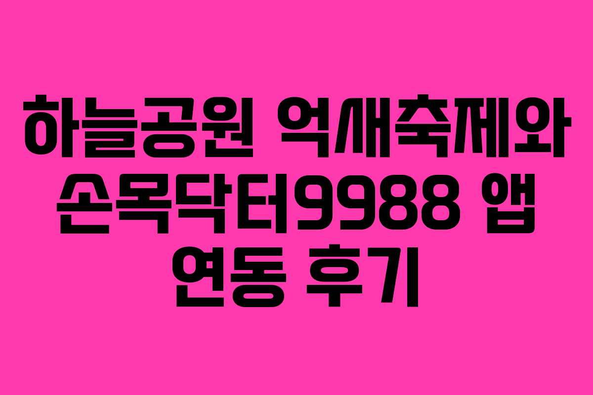 하늘공원 억새축제와 손목닥터9988 앱 연동 후기