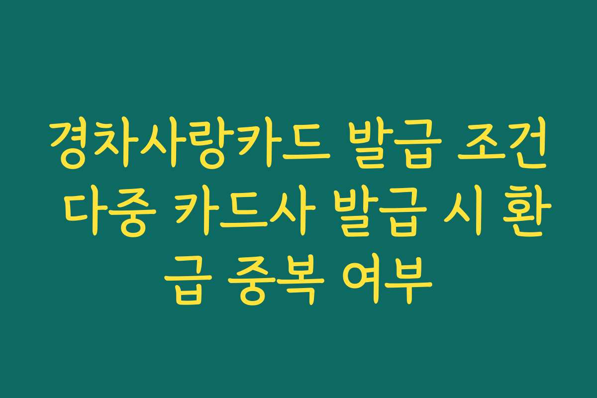 경차사랑카드 발급 조건 다중 카드사 발급 시 환급 중복 여부