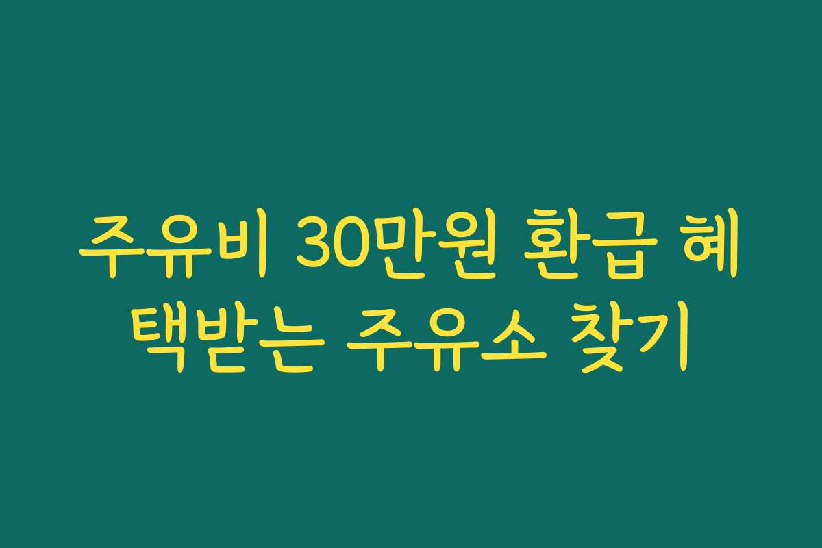 주유비 30만원 환급 혜택받는 주유소 찾기