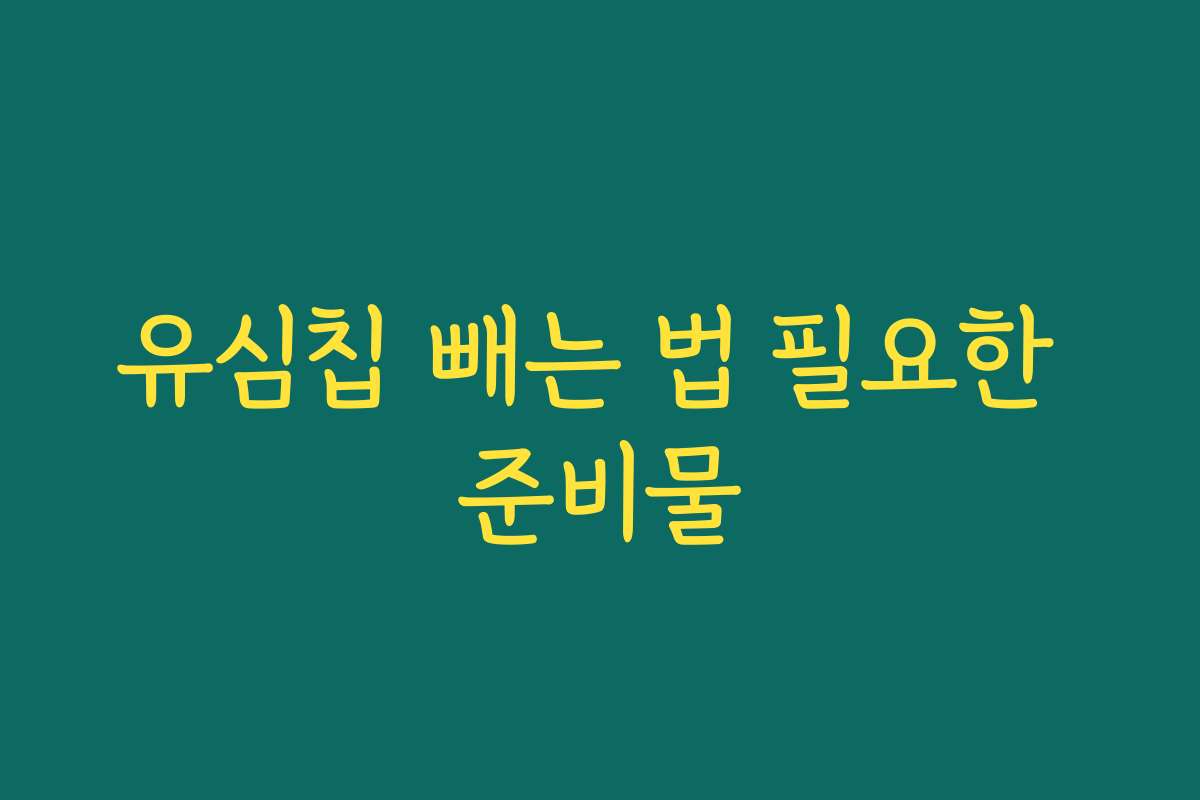 유심칩 빼는 법 필요한 준비물