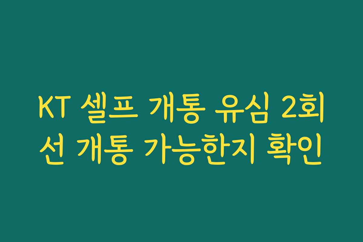 KT 셀프 개통 유심 2회선 개통 가능한지 확인