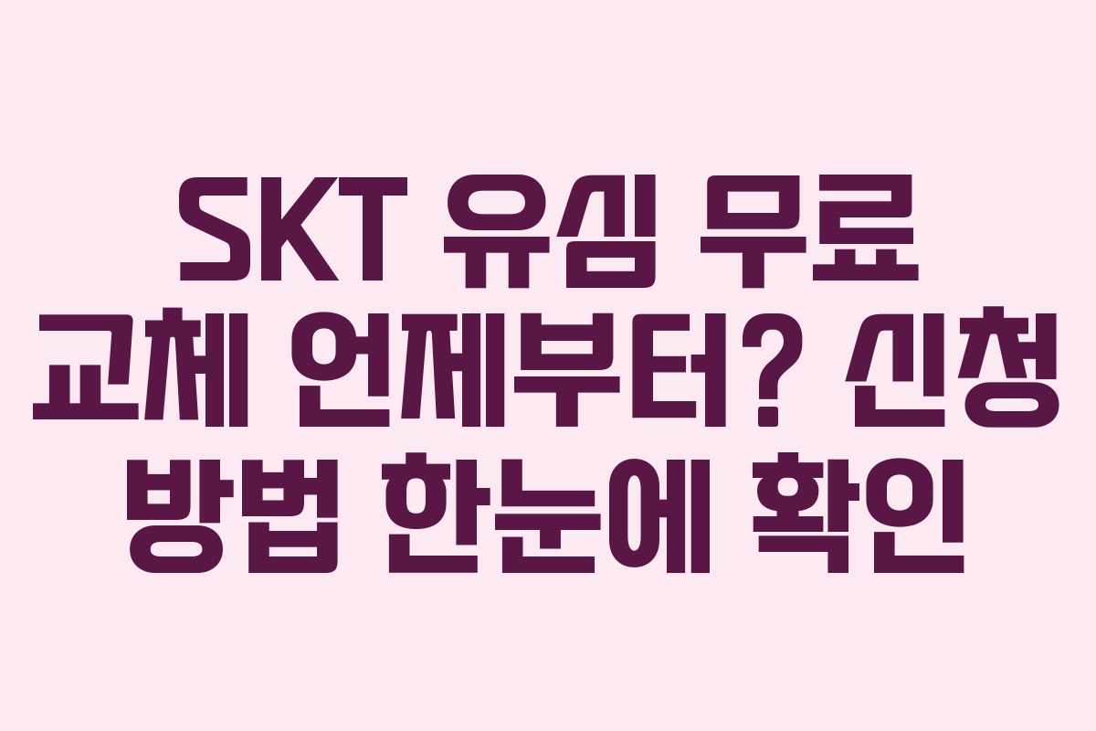 SKT 유심 무료 교체 언제부터? 신청 방법 한눈에 확인 SKT 유심 무료 교체 언제부터? 신청 방법 한눈에 확인