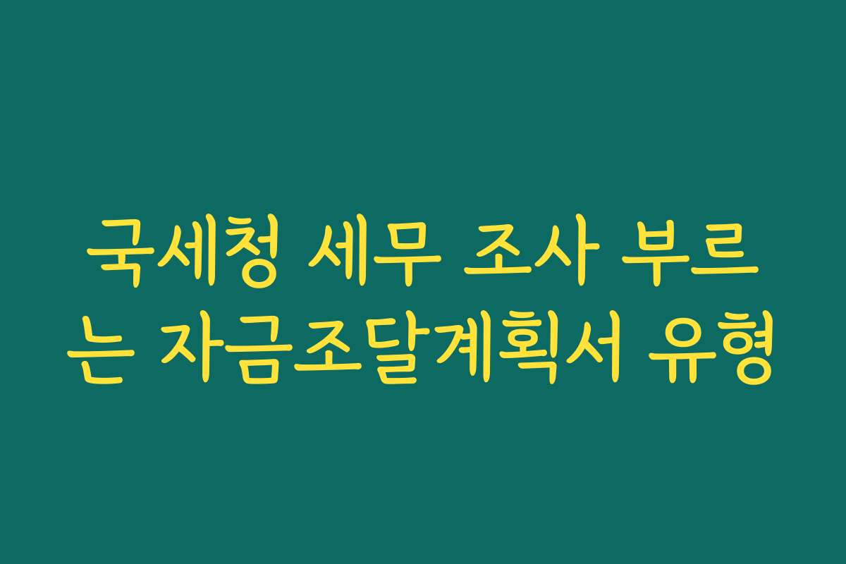 국세청 세무 조사 부르는 자금조달계획서 유형