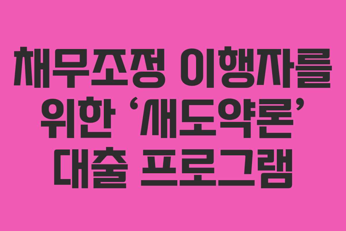 채무조정 이행자를 위한 ‘새도약론’ 대출 프로그램