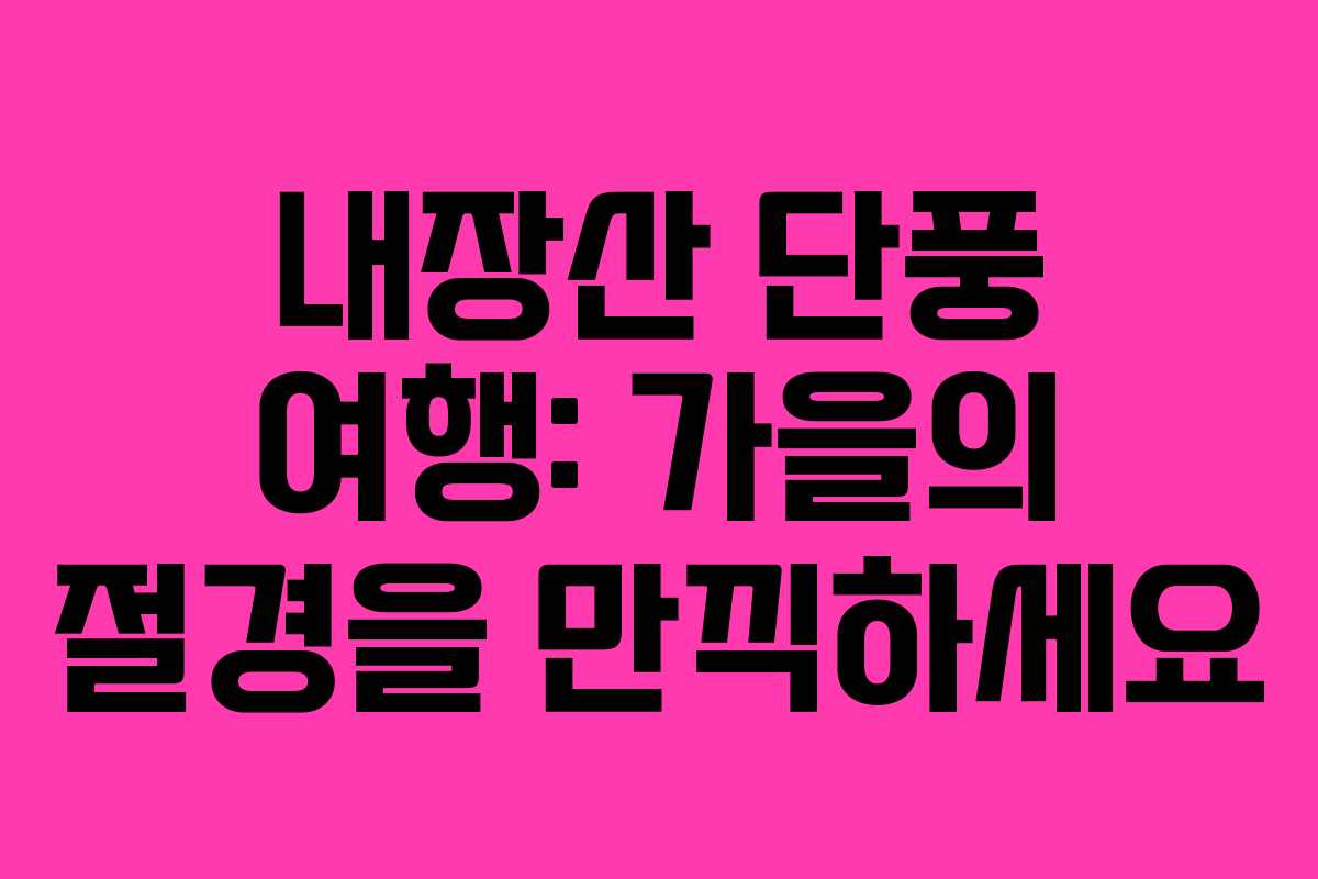 내장산 단풍 여행: 가을의 절경을 만끽하세요
