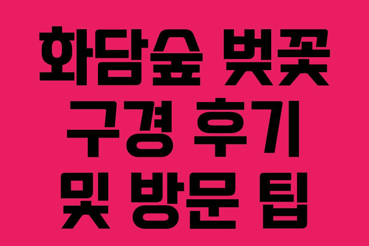 화담숲 벚꽃 구경 후기 및 방문 팁