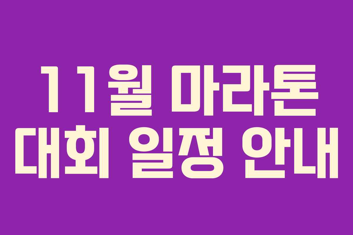 11월 마라톤 대회 일정 안내