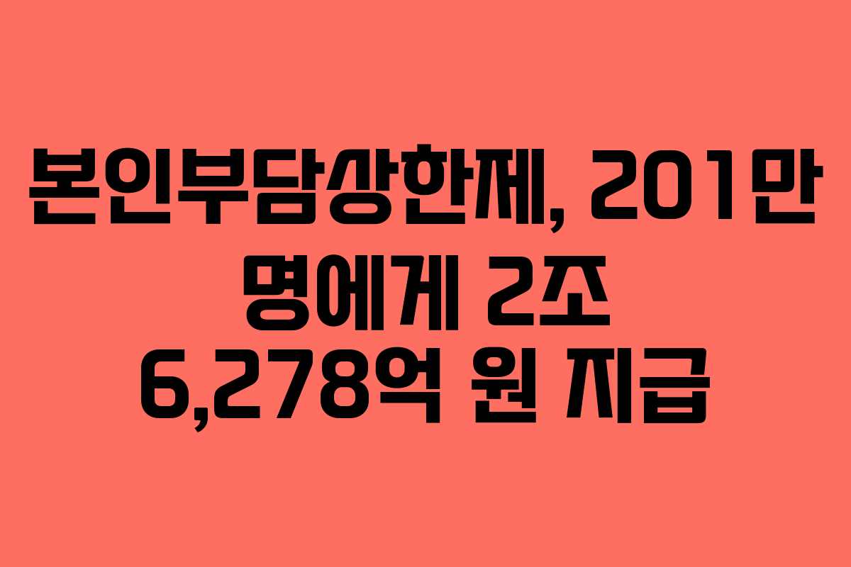 본인부담상한제, 201만 명에게 2조 6,278억 원 지급