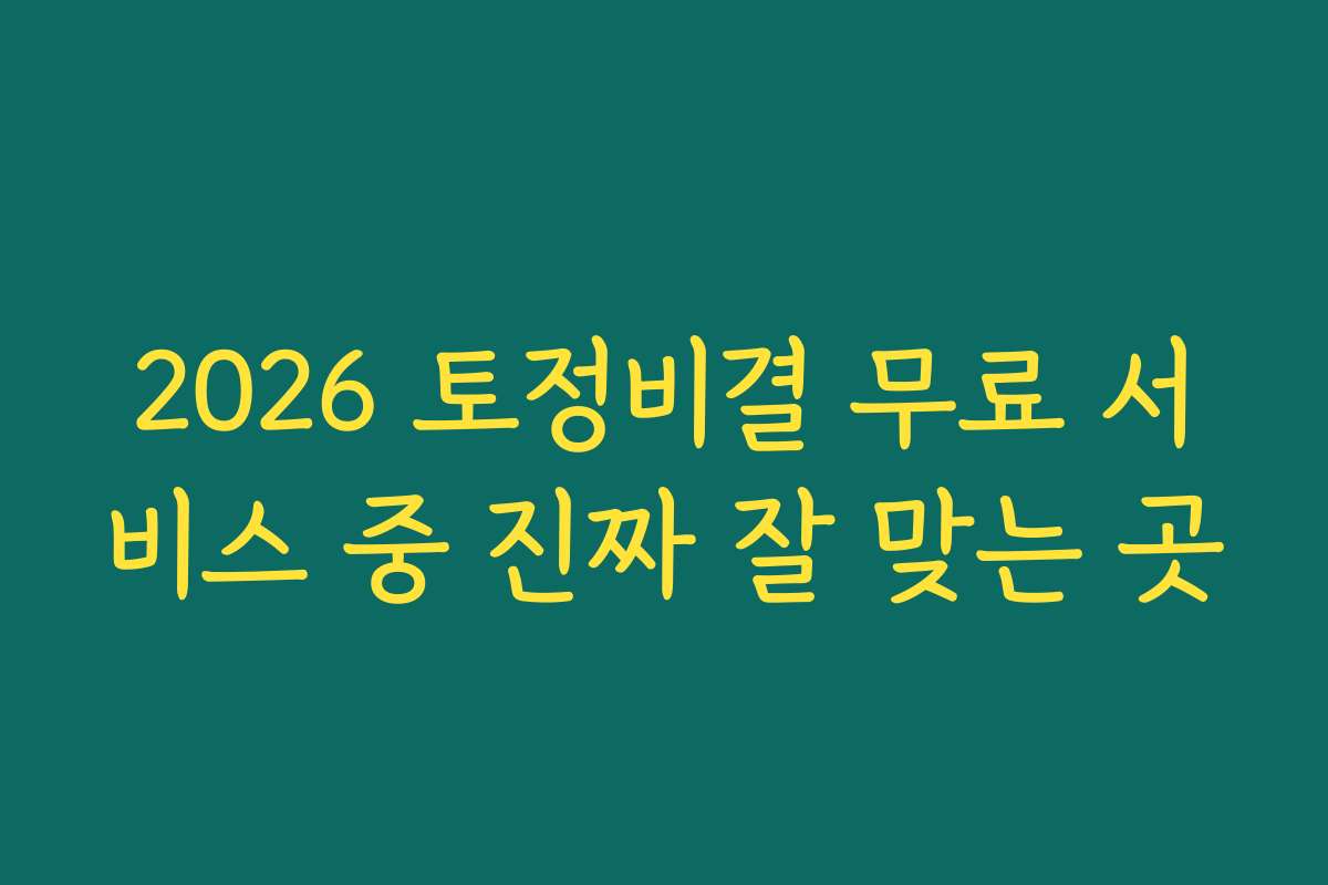 2026 토정비결 무료 서비스 중 진짜 잘 맞는 곳