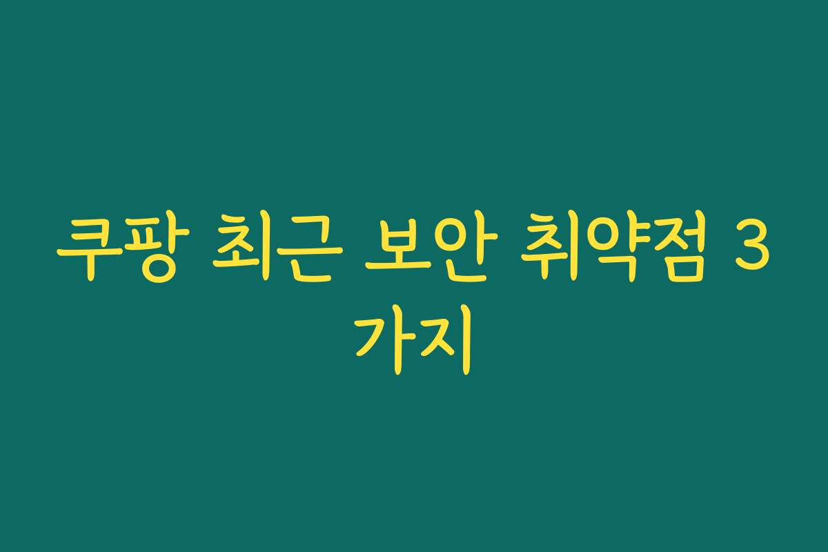 쿠팡 최근 보안 취약점 3가지