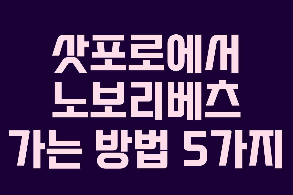 삿포로에서 노보리베츠 가는 방법 5가지