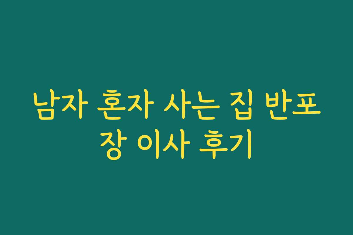 남자 혼자 사는 집 반포장 이사 후기