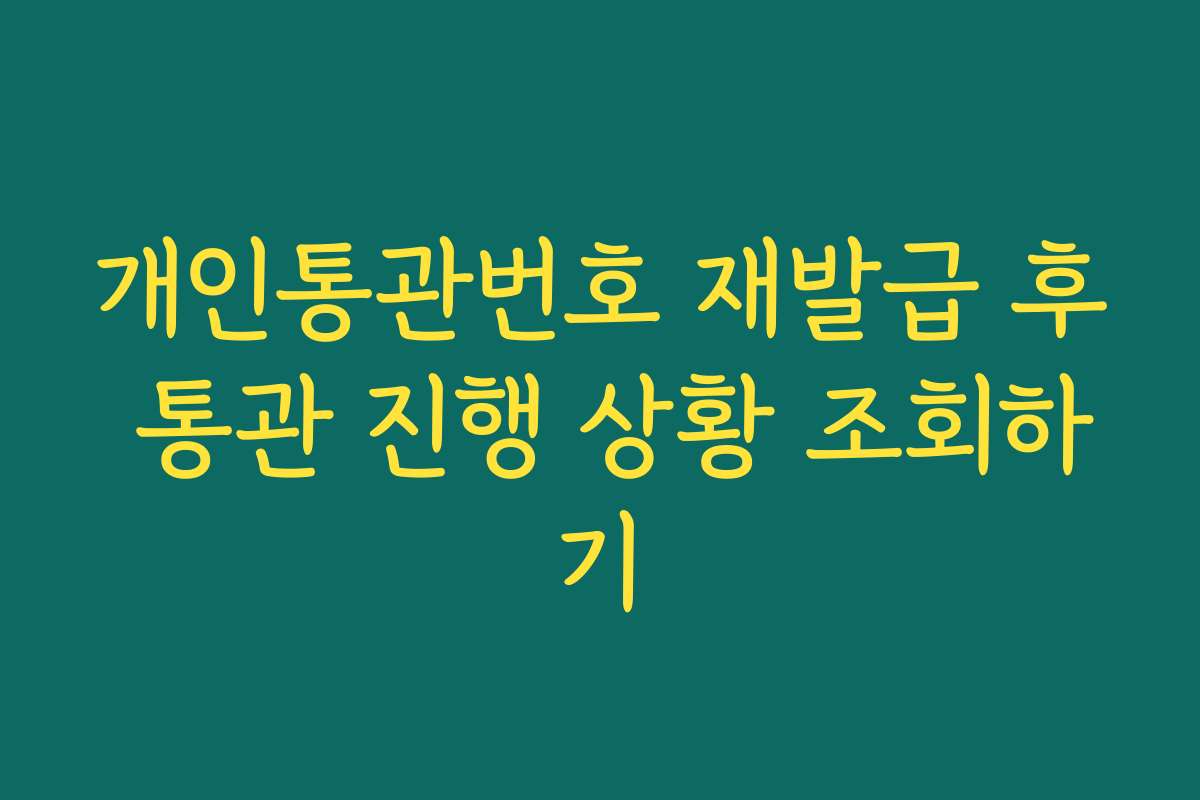 개인통관번호 재발급 후 통관 진행 상황 조회하기