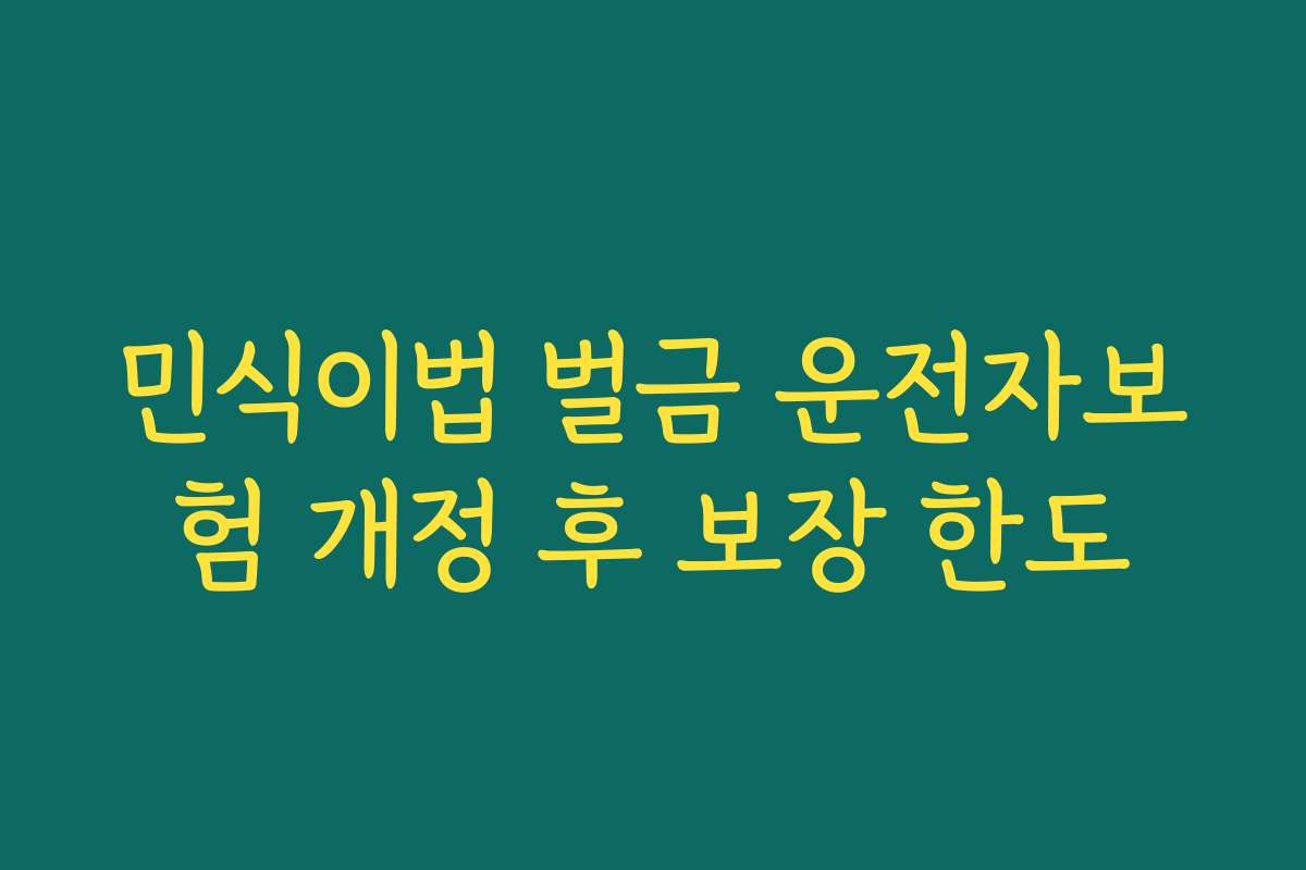 민식이법 벌금 운전자보험 개정 후 보장 한도
