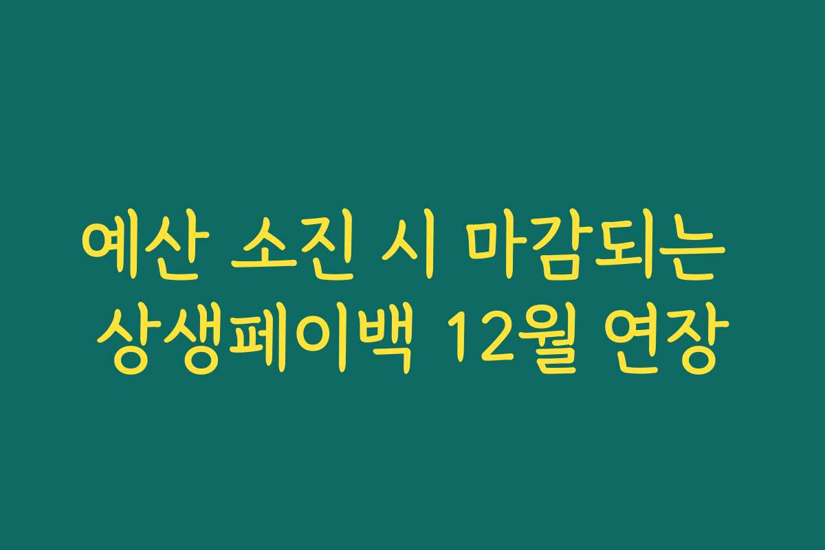 예산 소진 시 마감되는 상생페이백 12월 연장