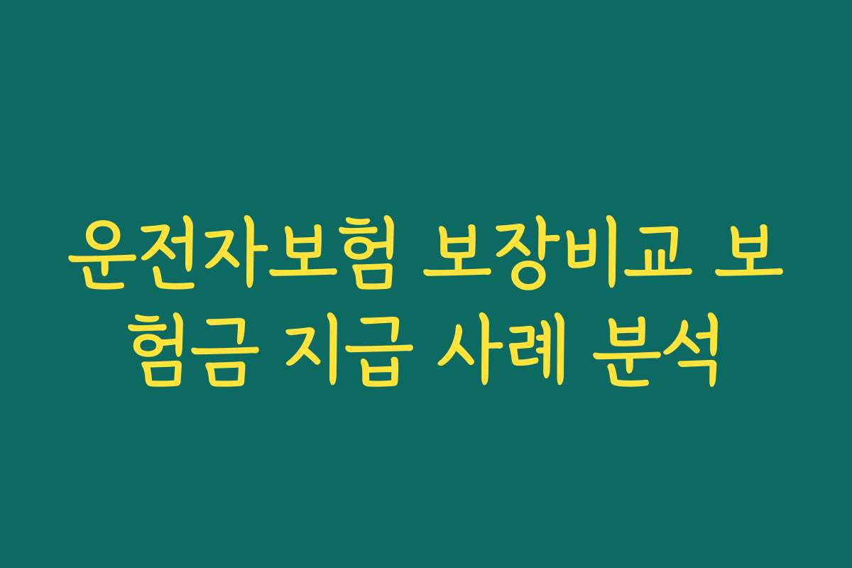 운전자보험 보장비교 보험금 지급 사례 분석