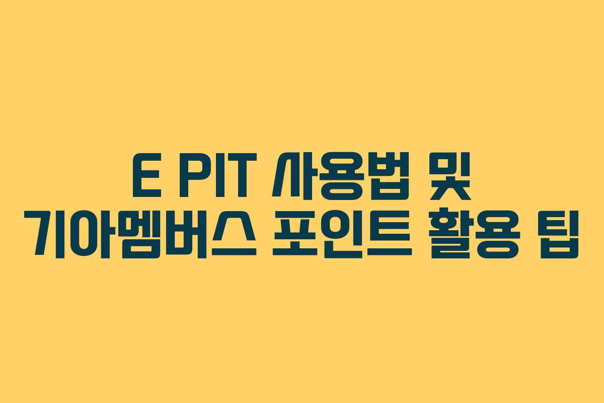 E PIT 사용법 및 기아멤버스 포인트 활용 팁