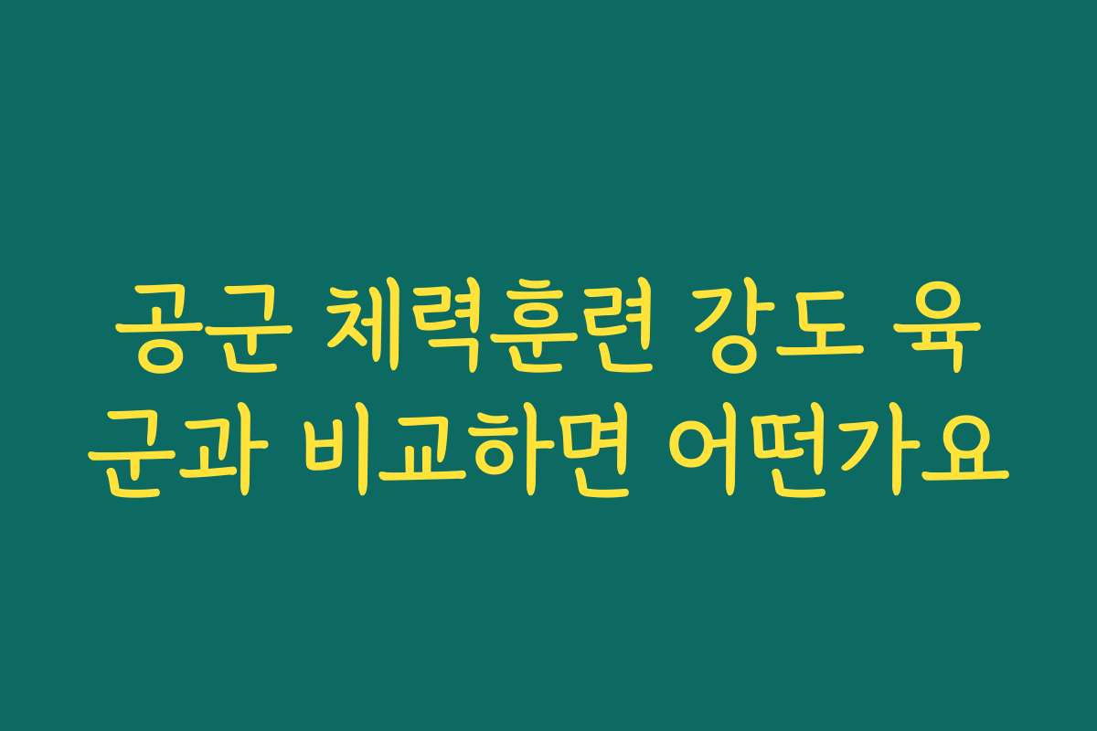 공군 체력훈련 강도 육군과 비교하면 어떤가요
