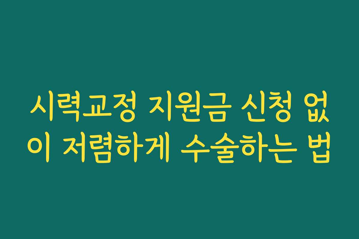 시력교정 지원금 신청 없이 저렴하게 수술하는 법 시력교정 지원금 신청 없이 저렴하게 수술하는 법