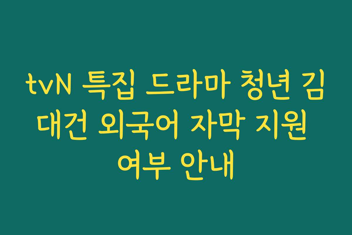 tvN 특집 드라마 청년 김대건 외국어 자막 지원 여부 안내